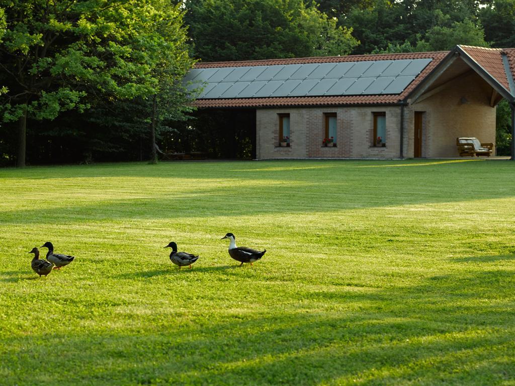 Relais Agrituristico Ormesani Villa San Liberale Buitenkant foto